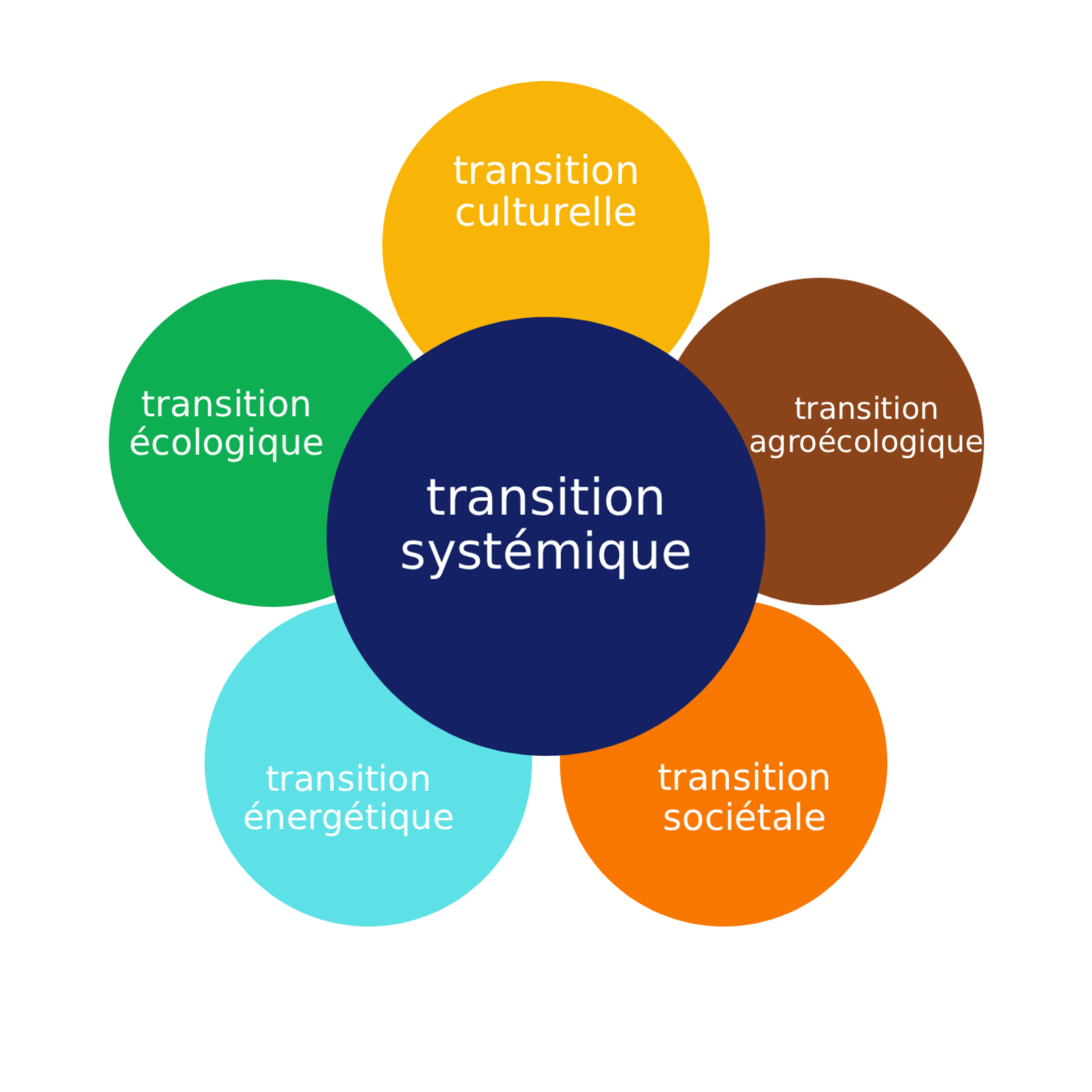 Marguerite de la transition systémique